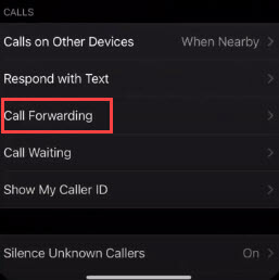 call forwarding option on iphone