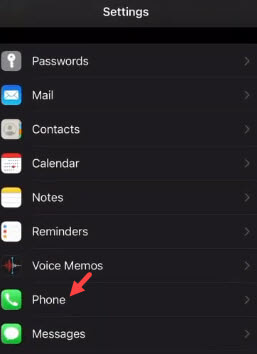 iphone phone setting