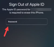 iphone apple id password
