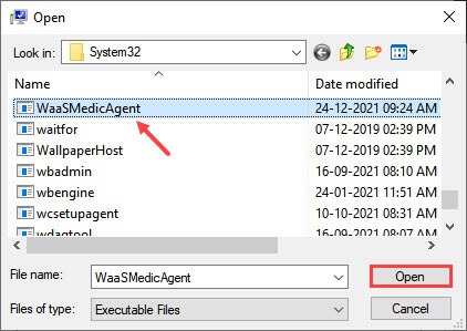 adding wassmedicagent exe file to dep