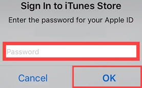 apple id password for itunes