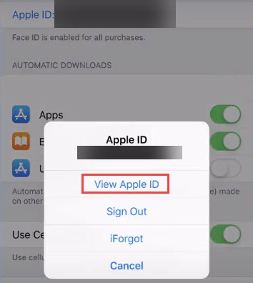 view apple id option on iphone